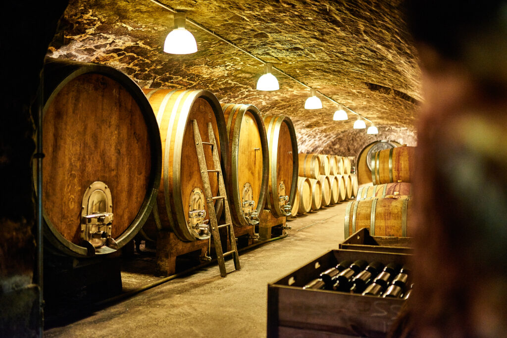 The wine cellar - this is an 800 year old cellar storing tradtional vintage wine of burgenland in oak barrels.